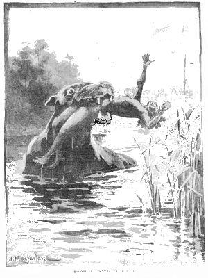 [Image: Bunyip water monster]