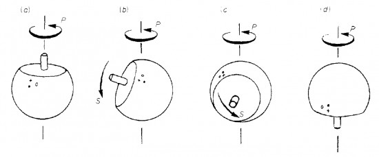 [image: Warlow's
Tippe-Top]