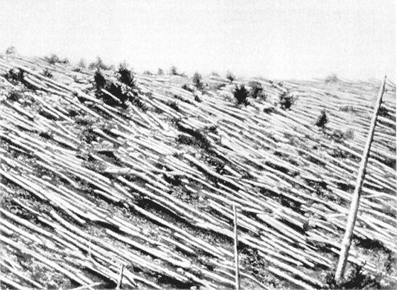 [Image: Downed trees at
Tunguska]