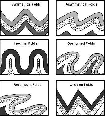 Types of folds