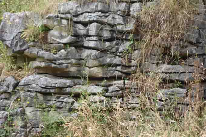 Limestone beds.