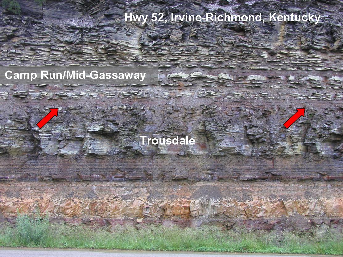 Shale units.