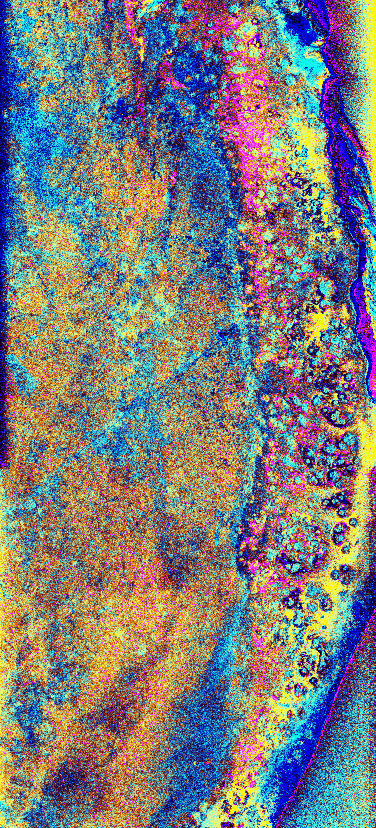Shuttle radar image of part of the Chicxulub structure