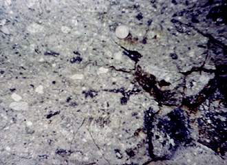 Suevite breccias in the field at the Ries structure.