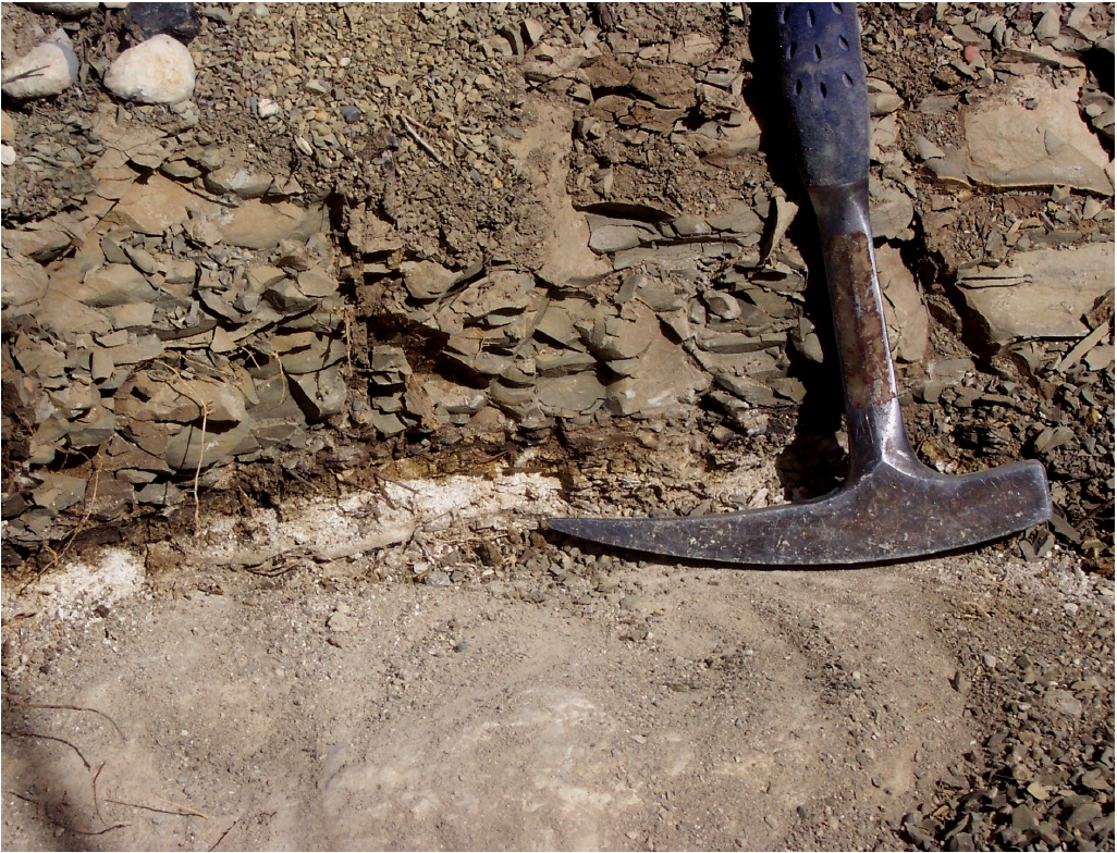 Close-up of the K-T boundary deposits