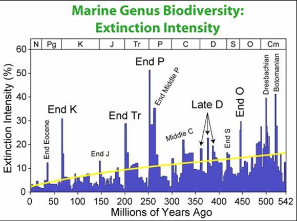 Mass extinctions over the last 500 million year plus of geologic time.