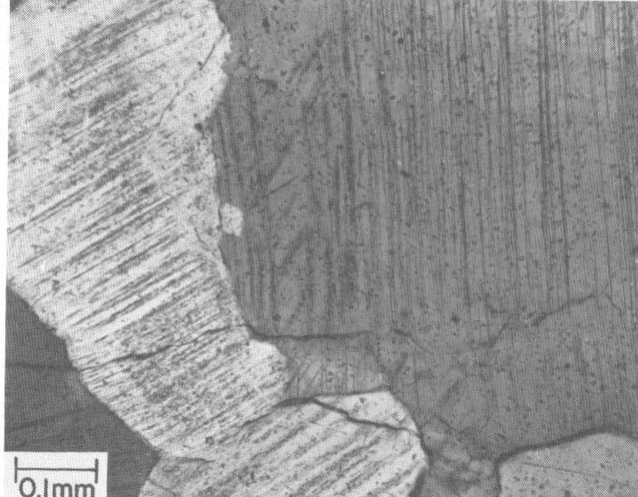 Planar features in quartz and feldspar in West Hawk Lake breccia (rock type was a gneiss)