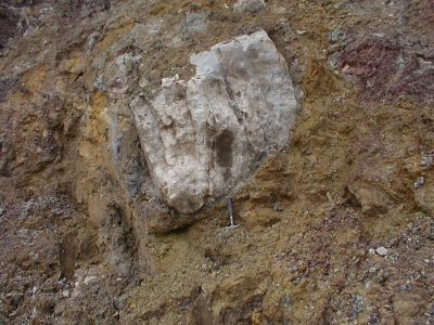 Part of the ejecta blanket around the Ries impact crater; breccia clasts can range from almost microscopic to as big as houses (seen elsewhere).